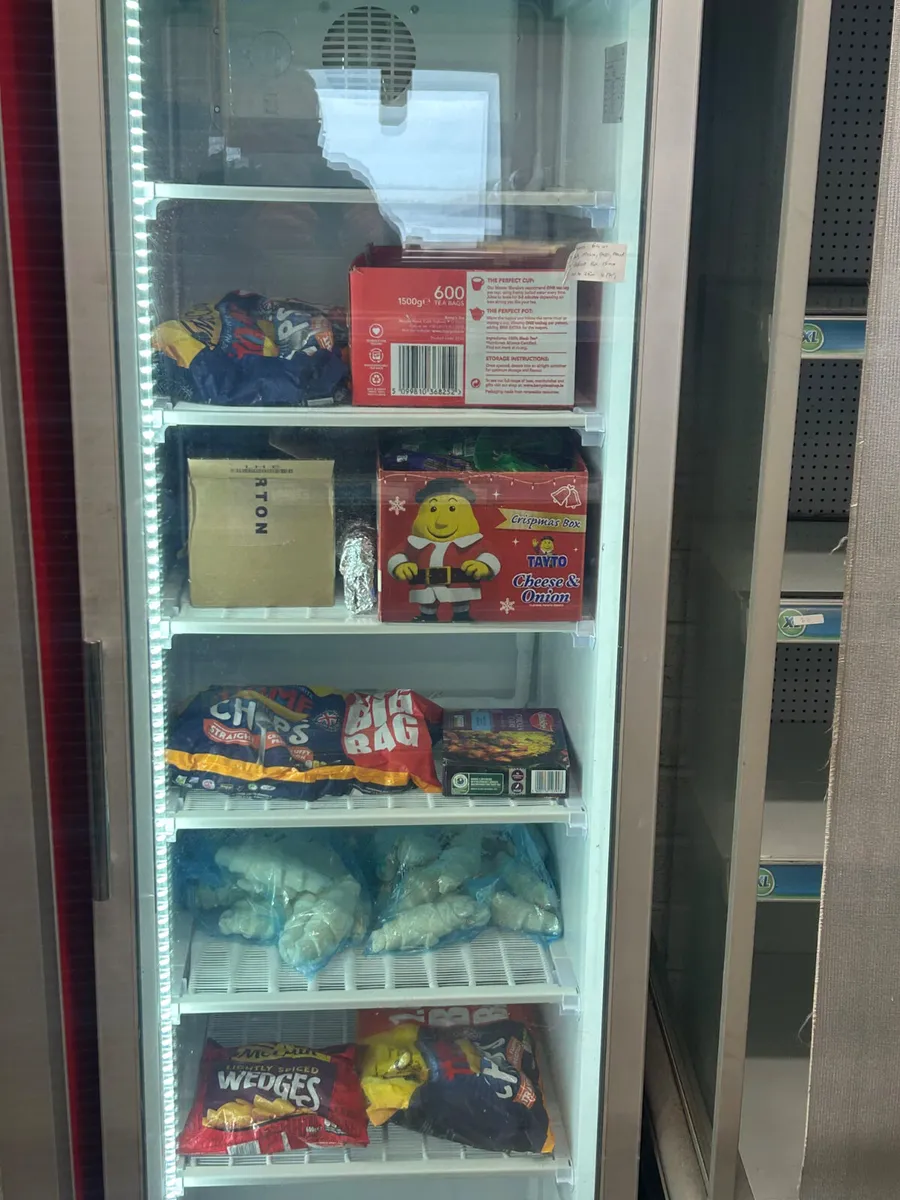 Upright Display Freezer - Image 4