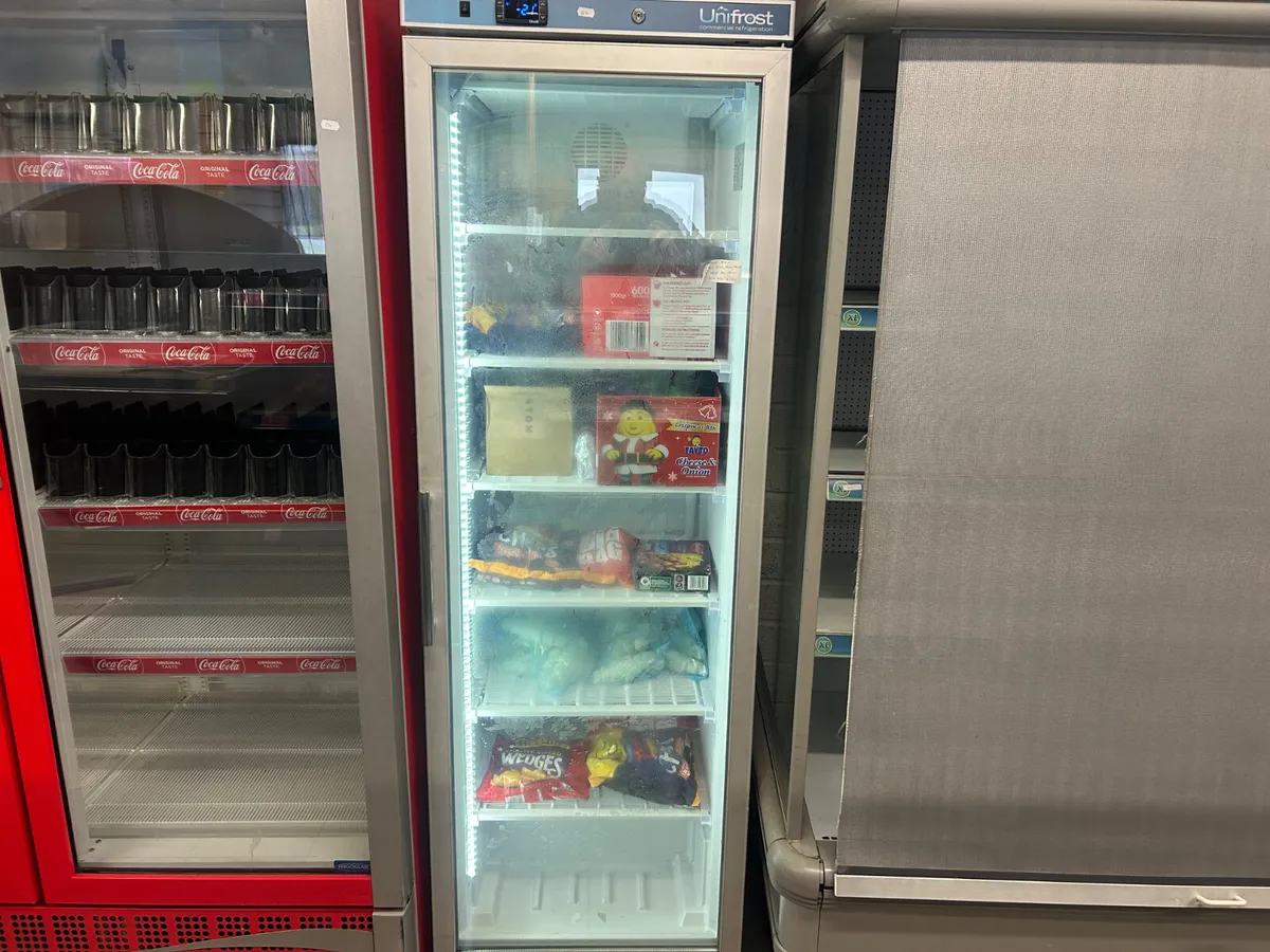 Upright Display Freezer - Image 1