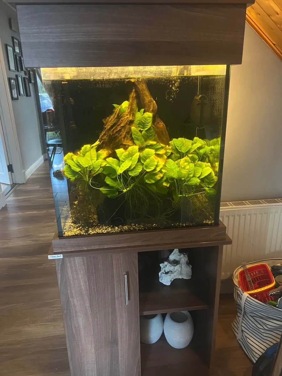 ClearSeal Aquarium - Image 1