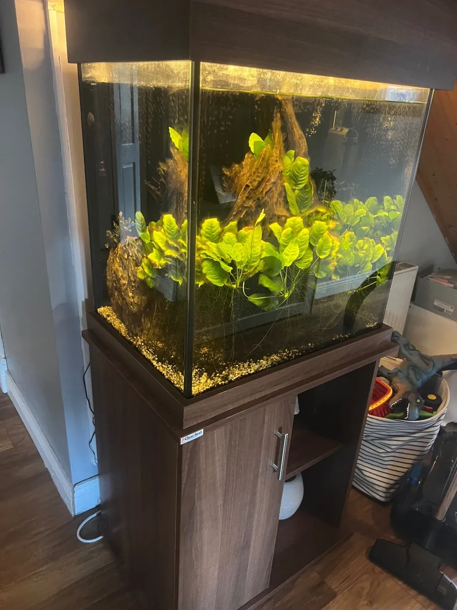 ClearSeal Aquarium - Image 2