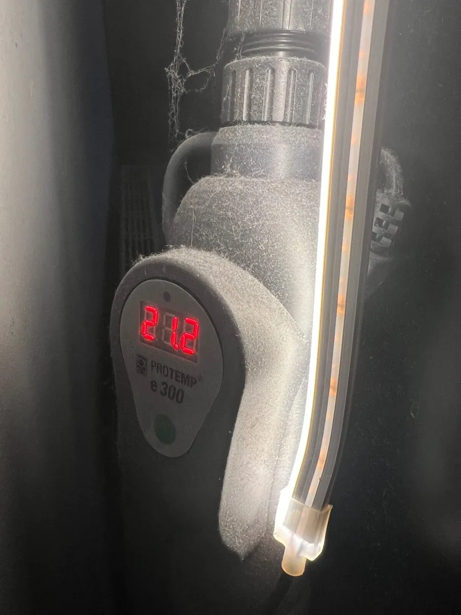 ClearSeal Aquarium - Image 3