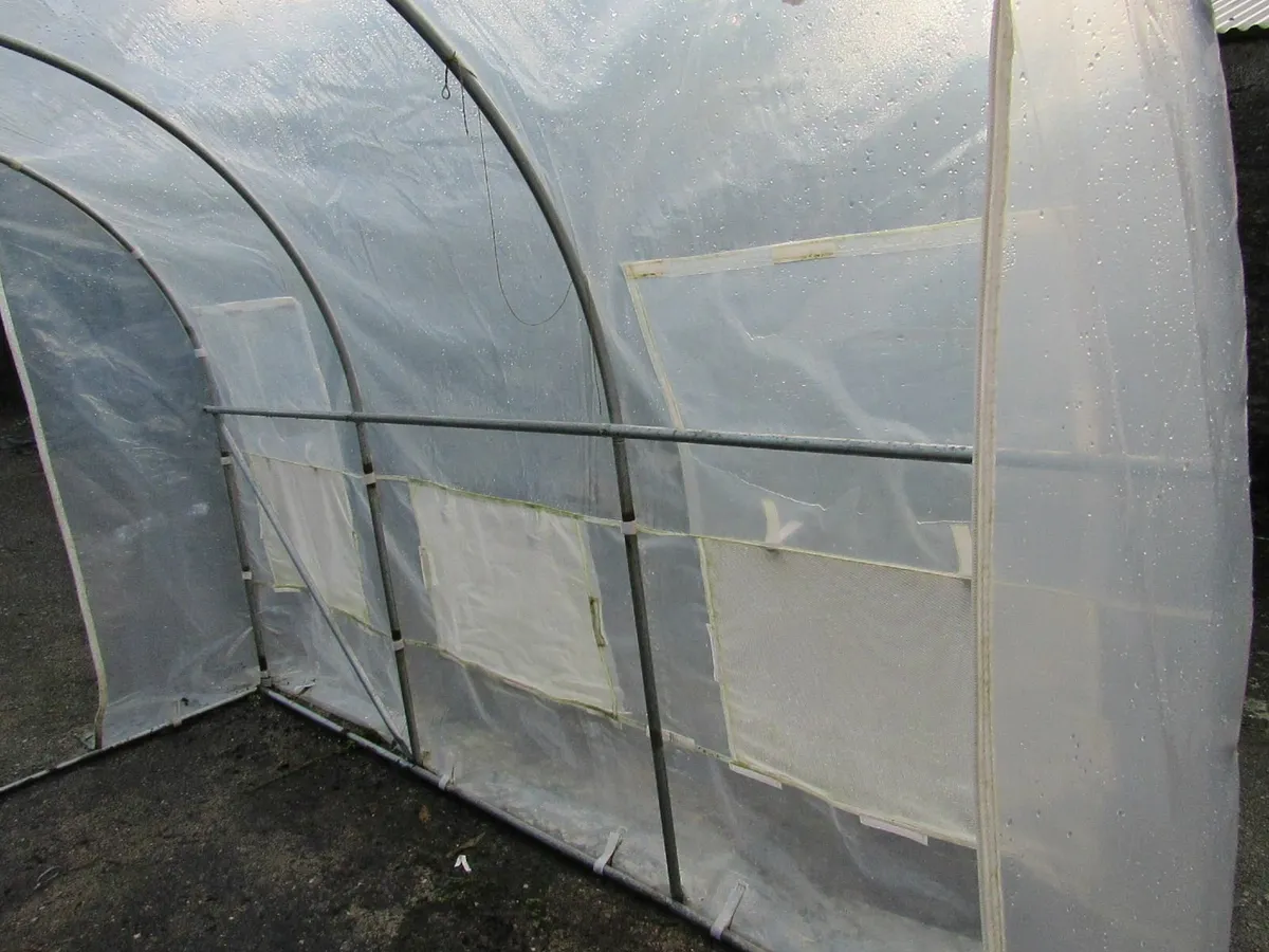 Dancover polytunnel / greenhouse, approx. 3×3×2 m - Image 3