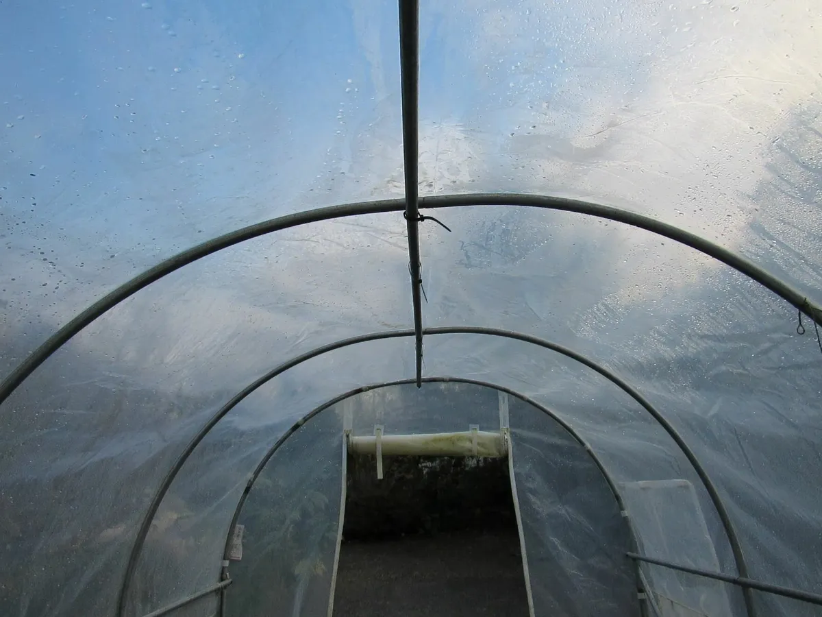 Dancover polytunnel / greenhouse, approx. 3×3×2 m - Image 2