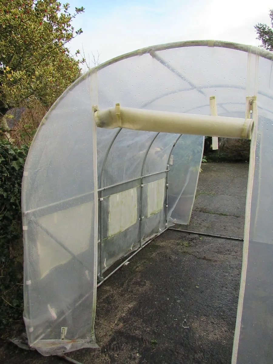Dancover polytunnel / greenhouse, approx. 3×3×2 m - Image 4