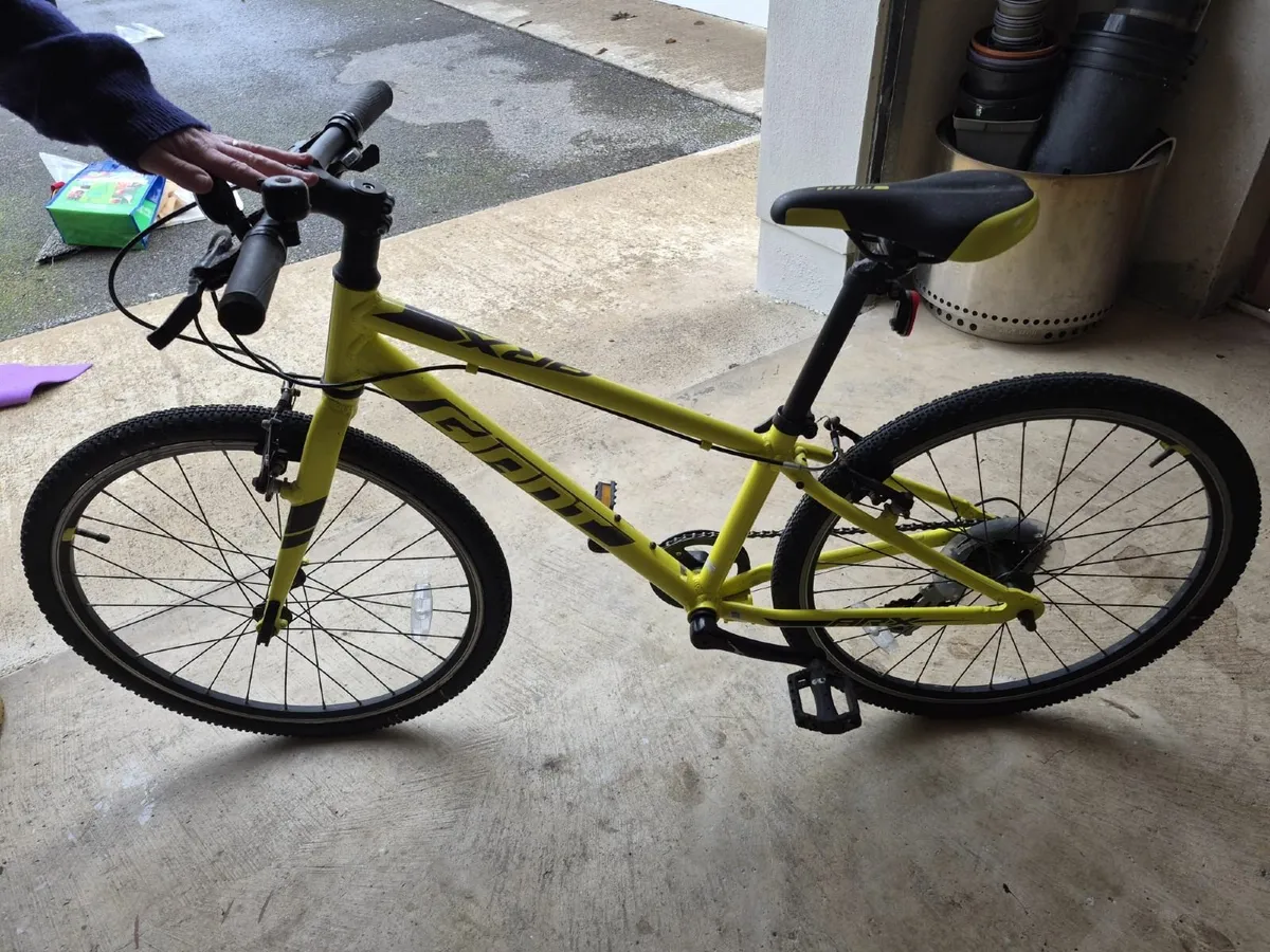 GIANT arx 20 in bike