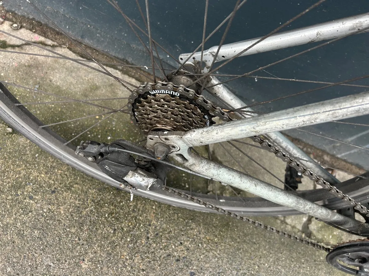 Giant Escape ❗️Open 7 days of the week ❗️ - Image 4