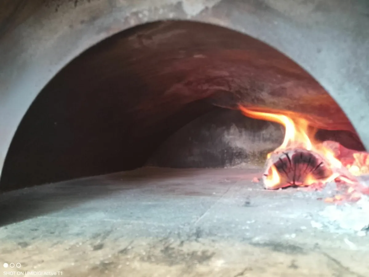 wood fire oven/stainless steel - Image 3