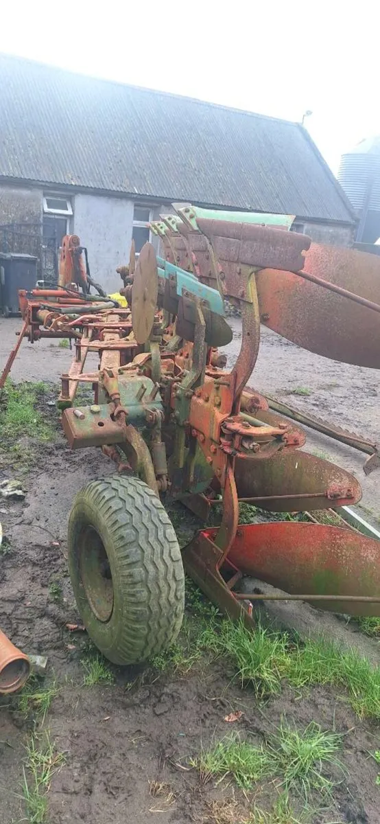 Plough vogel and noot - Image 1