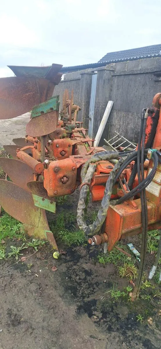 Plough vogel and noot - Image 2