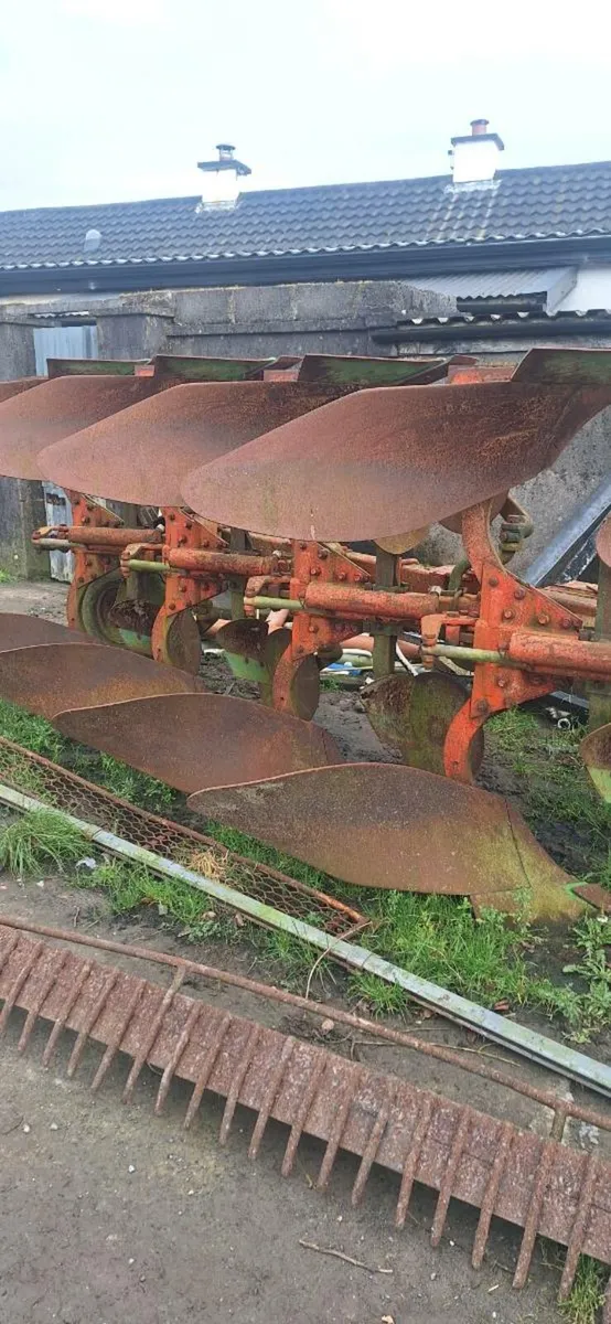 Plough vogel and noot - Image 3