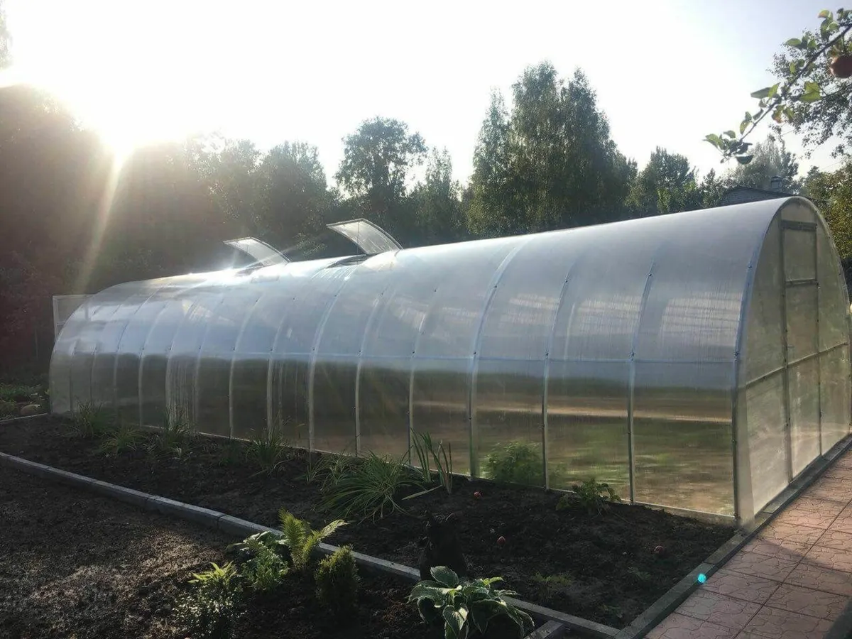 Polycarbonate Greenhouse – 3×10 m - Image 1