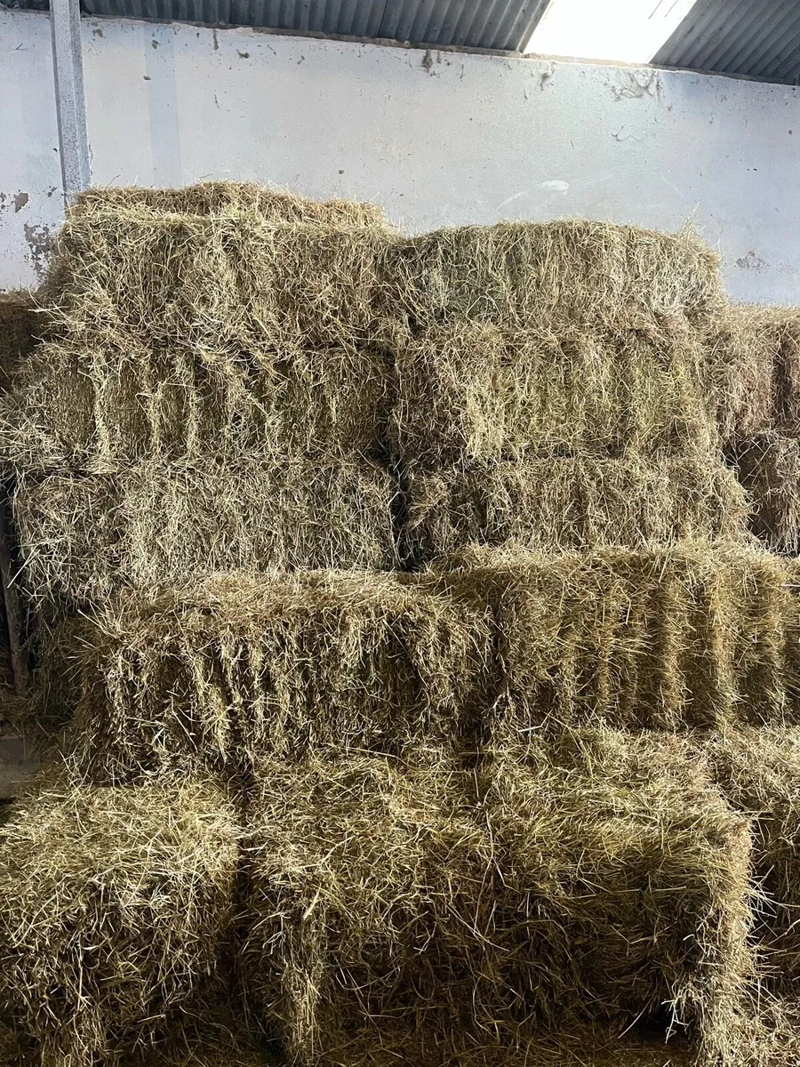 Hay for sale Cork - Image 2