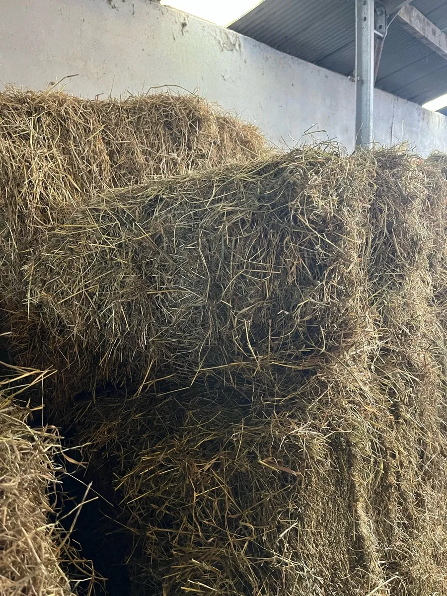Hay for sale Cork - Image 3