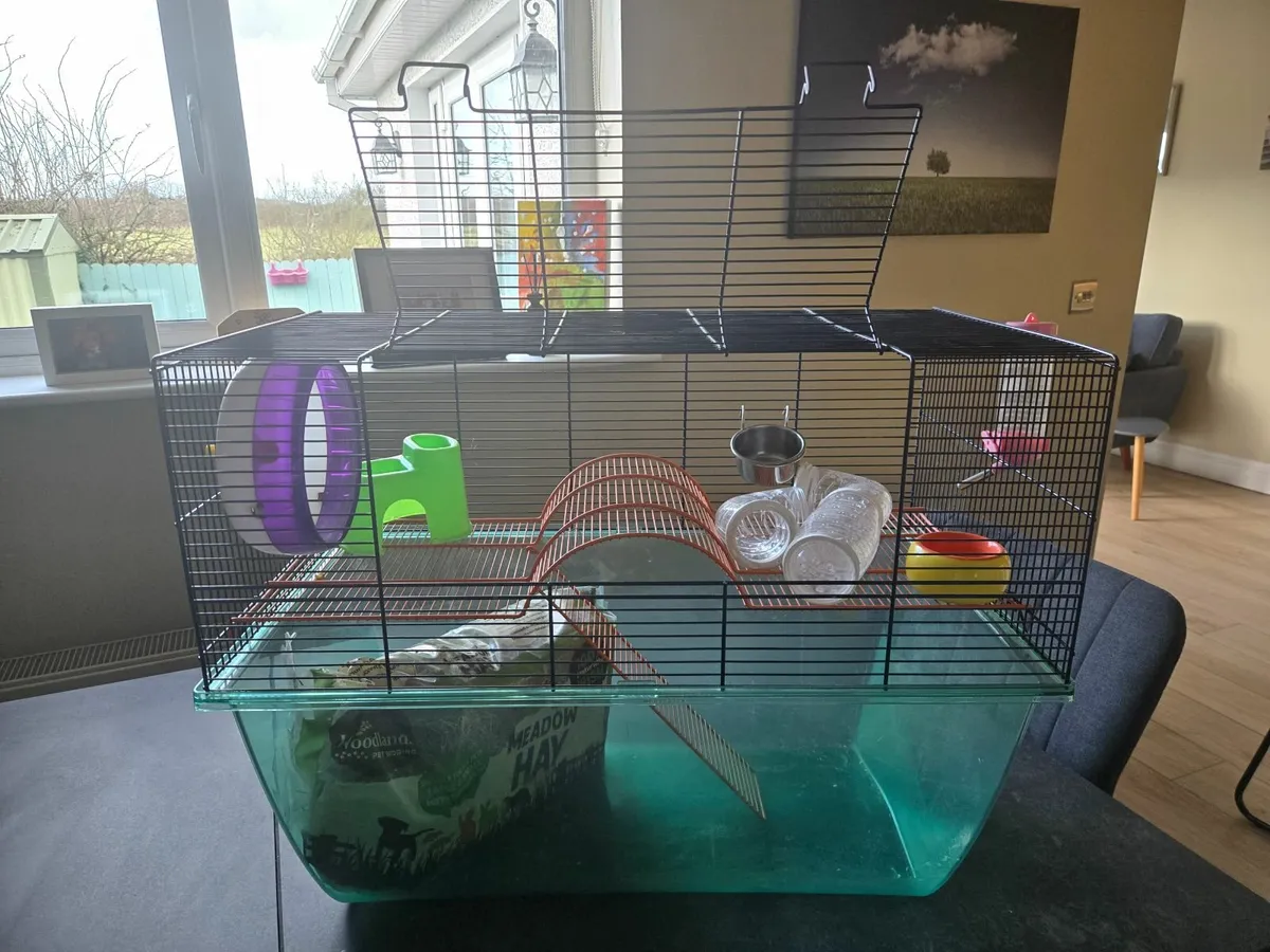 Hamster cage XL - Image 3
