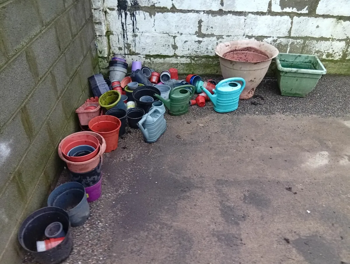 Free pods different sizes - Image 1