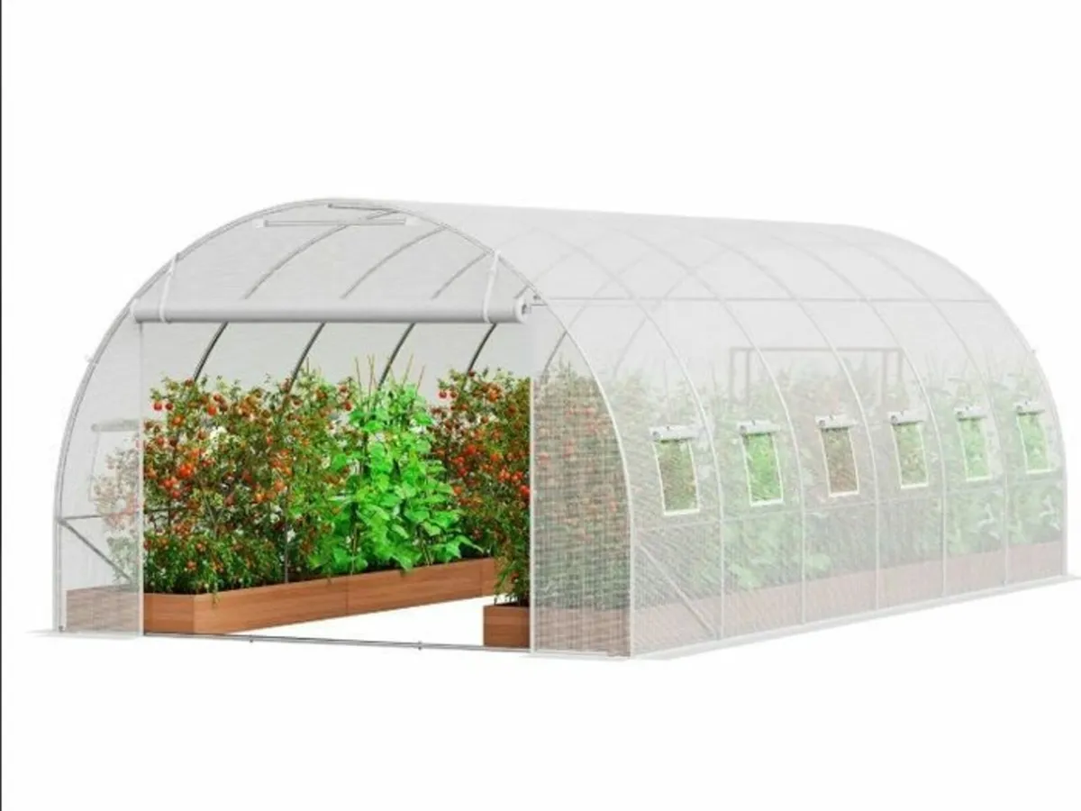 Polytunnel 20ft Galvanized Frame PE Cover Green Wa - Image 3