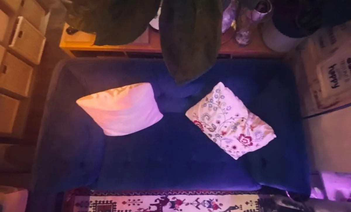 Sofa Navy Velvet 2 Seater Sofa Harvey Norman MISHA - Image 2