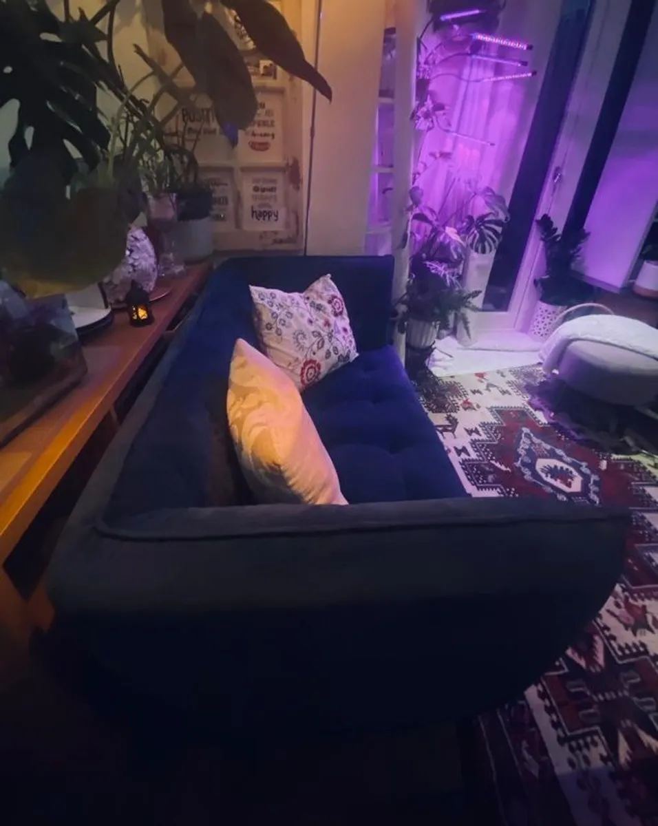 Sofa Navy Velvet 2 Seater Sofa Harvey Norman MISHA - Image 3