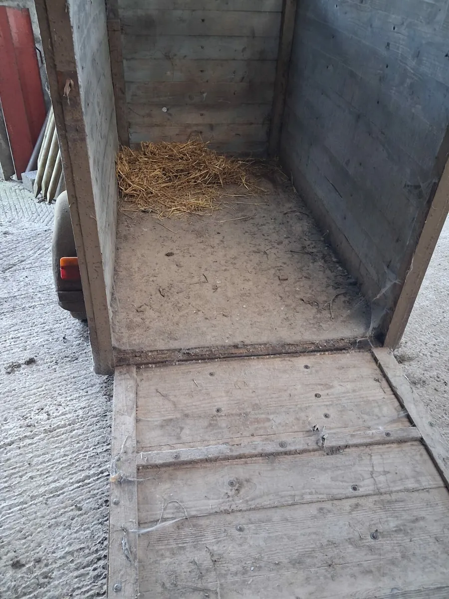 Calf  Box - Image 3