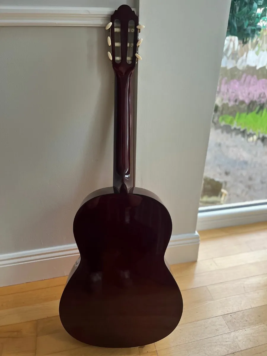Eterna EC-10 acoustic guitar - Image 3