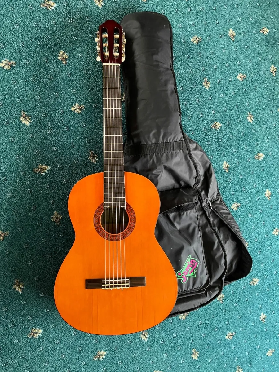 Eterna EC-10 acoustic guitar - Image 1