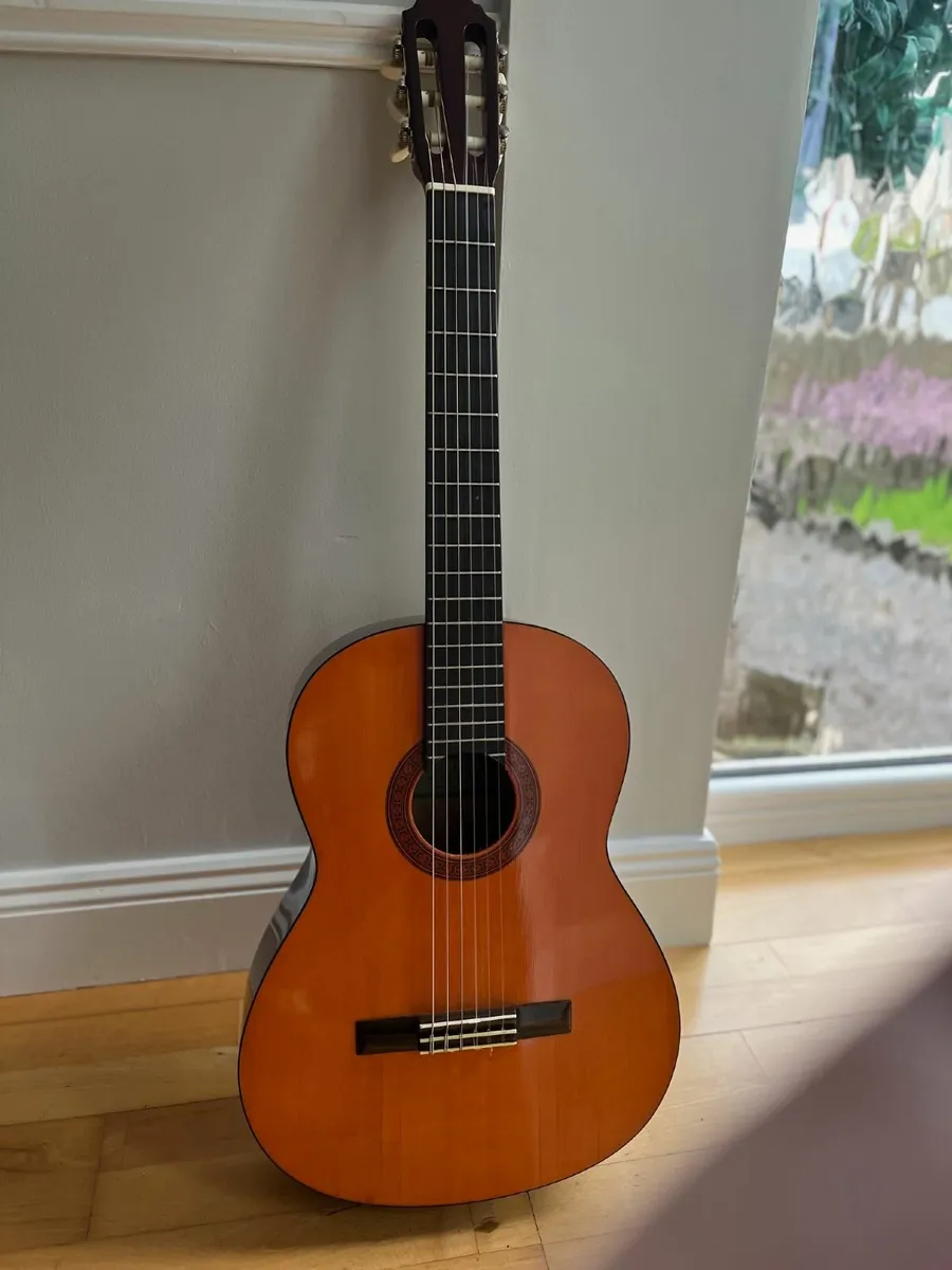 Eterna EC-10 acoustic guitar - Image 2