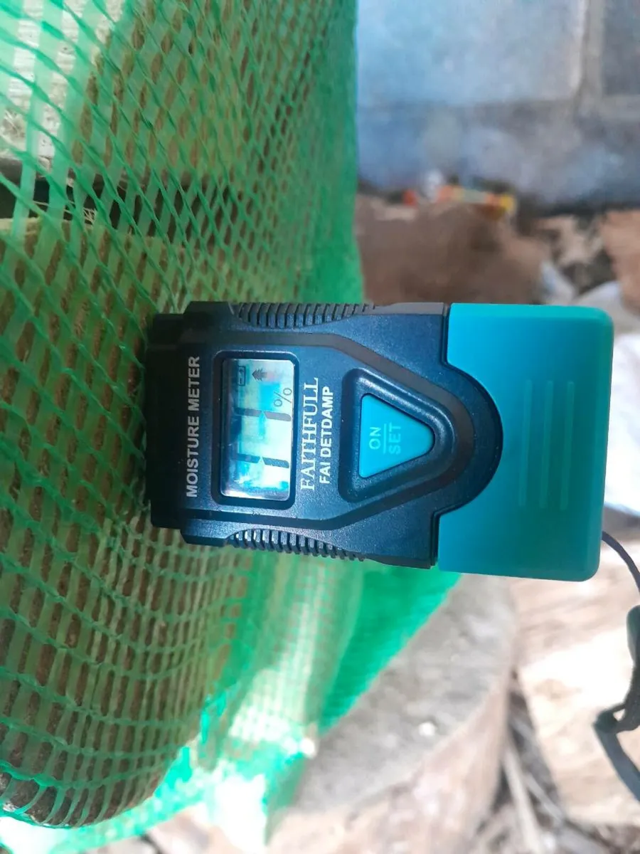 Ash firewood - Image 2