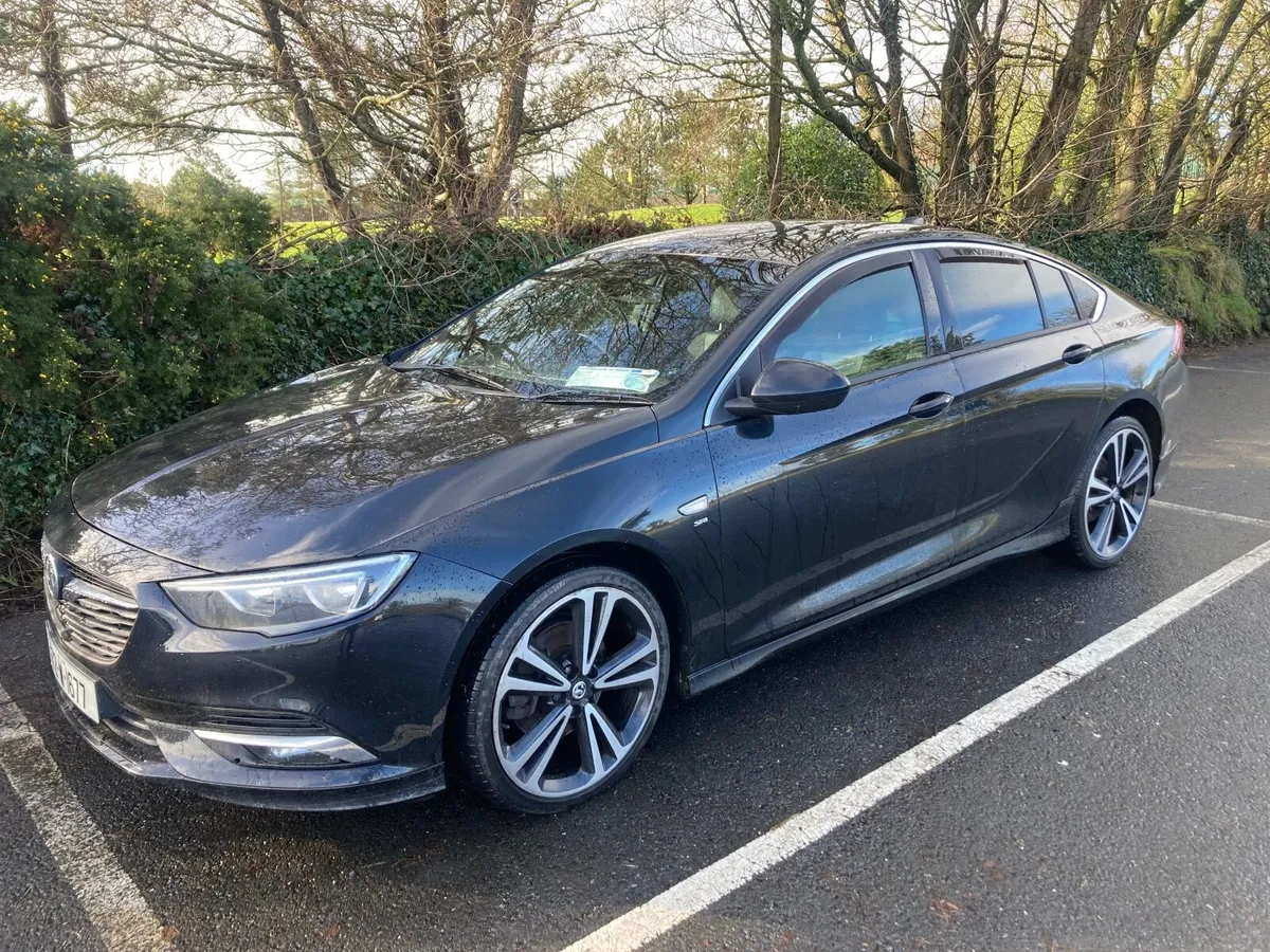 2017 Insignia - Image 1