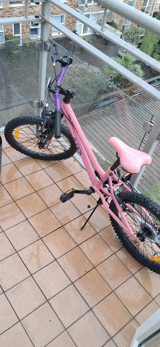 20” Kids Mountain Bike – Pink - Image 2