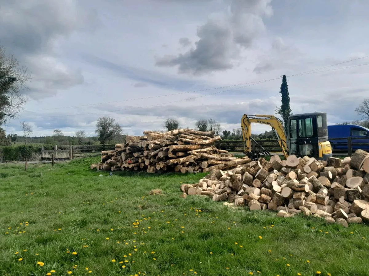 Ash firewood - Image 1