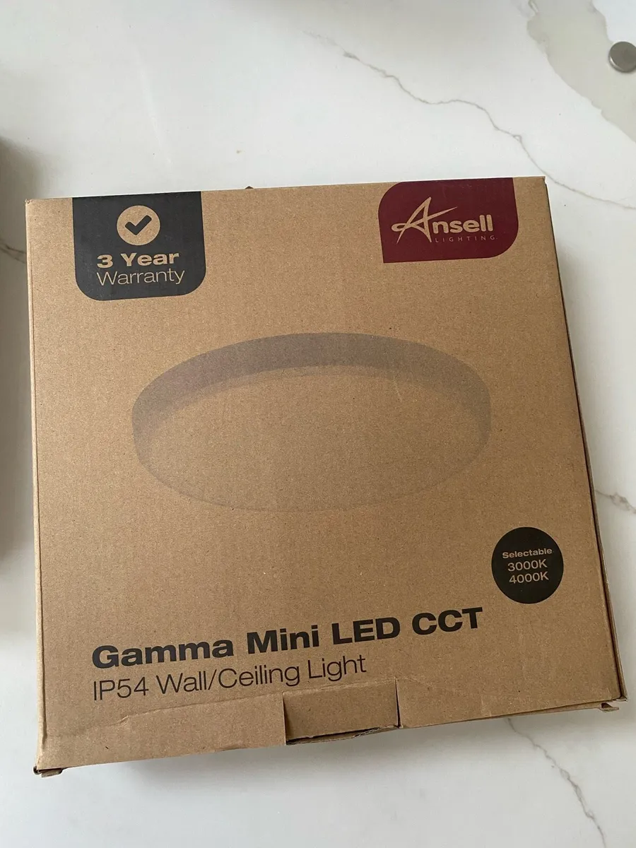 Wall/Ceiling Light - Image 2