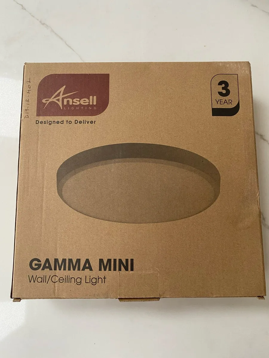 Wall/Ceiling Light - Image 1