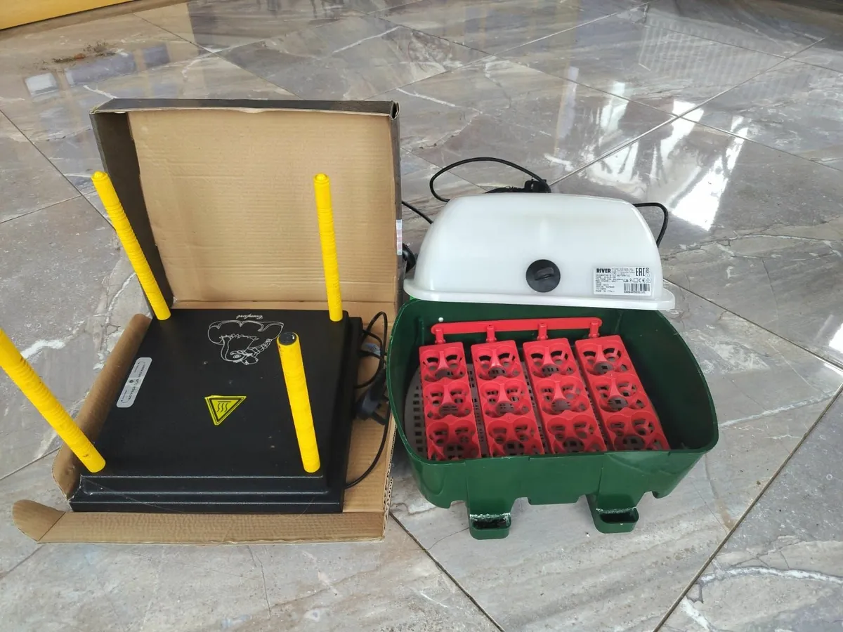 Incubator and Brooder - Image 2