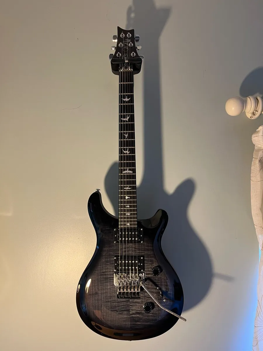 PRS SE Custom 24 Floyd - Image 1