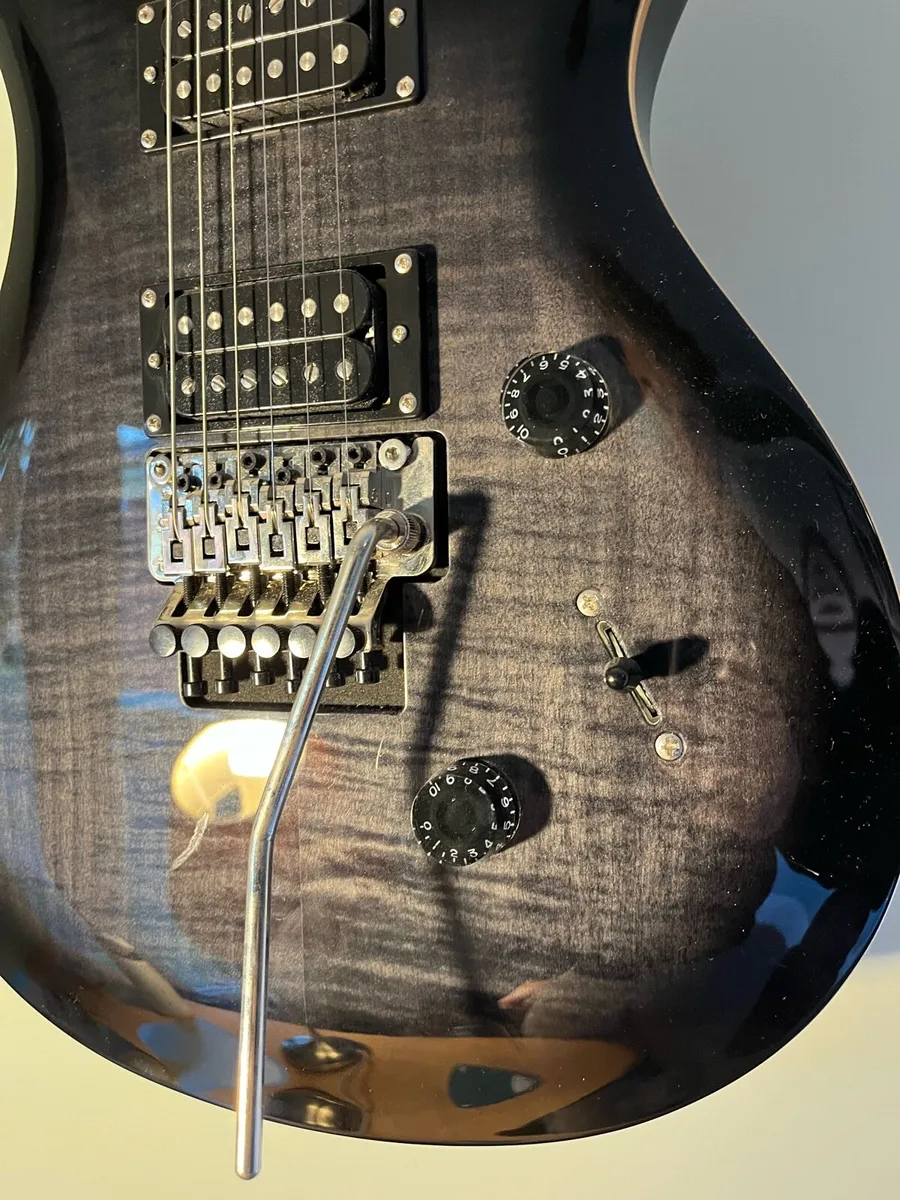 PRS SE Custom 24 Floyd - Image 3