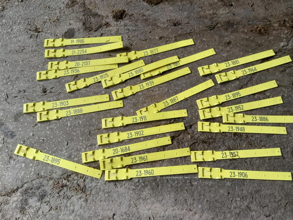 Numbered cow legstraps - Image 2