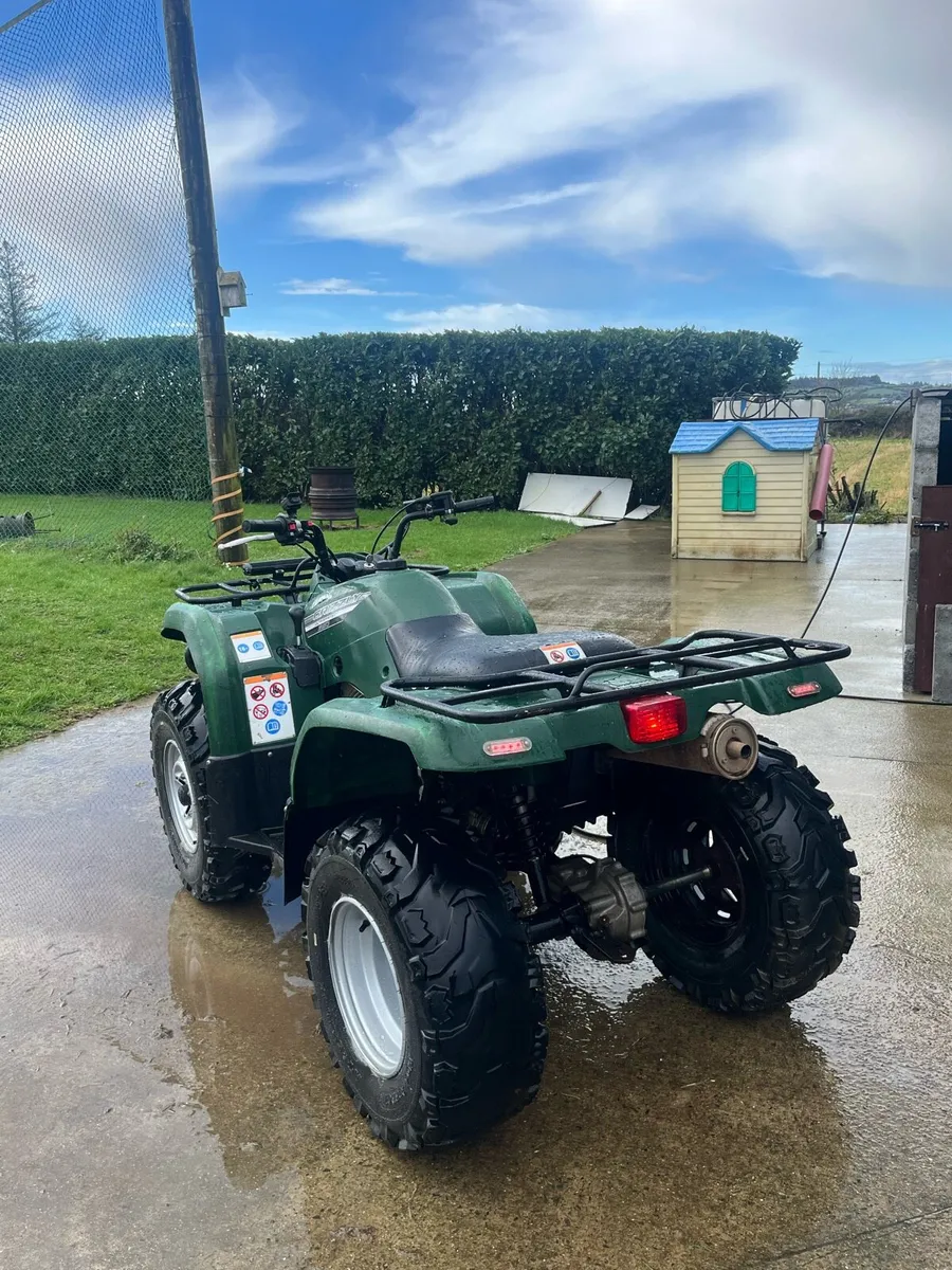 Yamaha grizzly 350 - Image 4