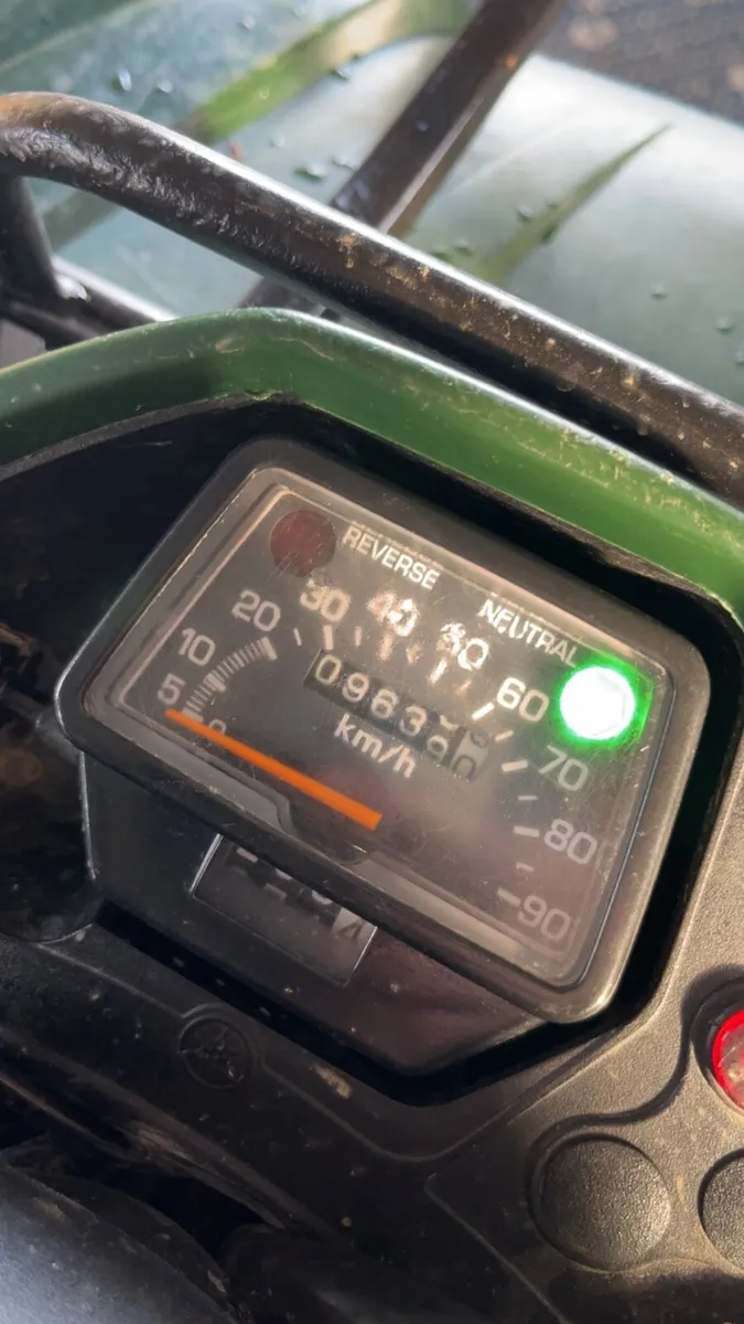 Yamaha grizzly 350 - Image 2