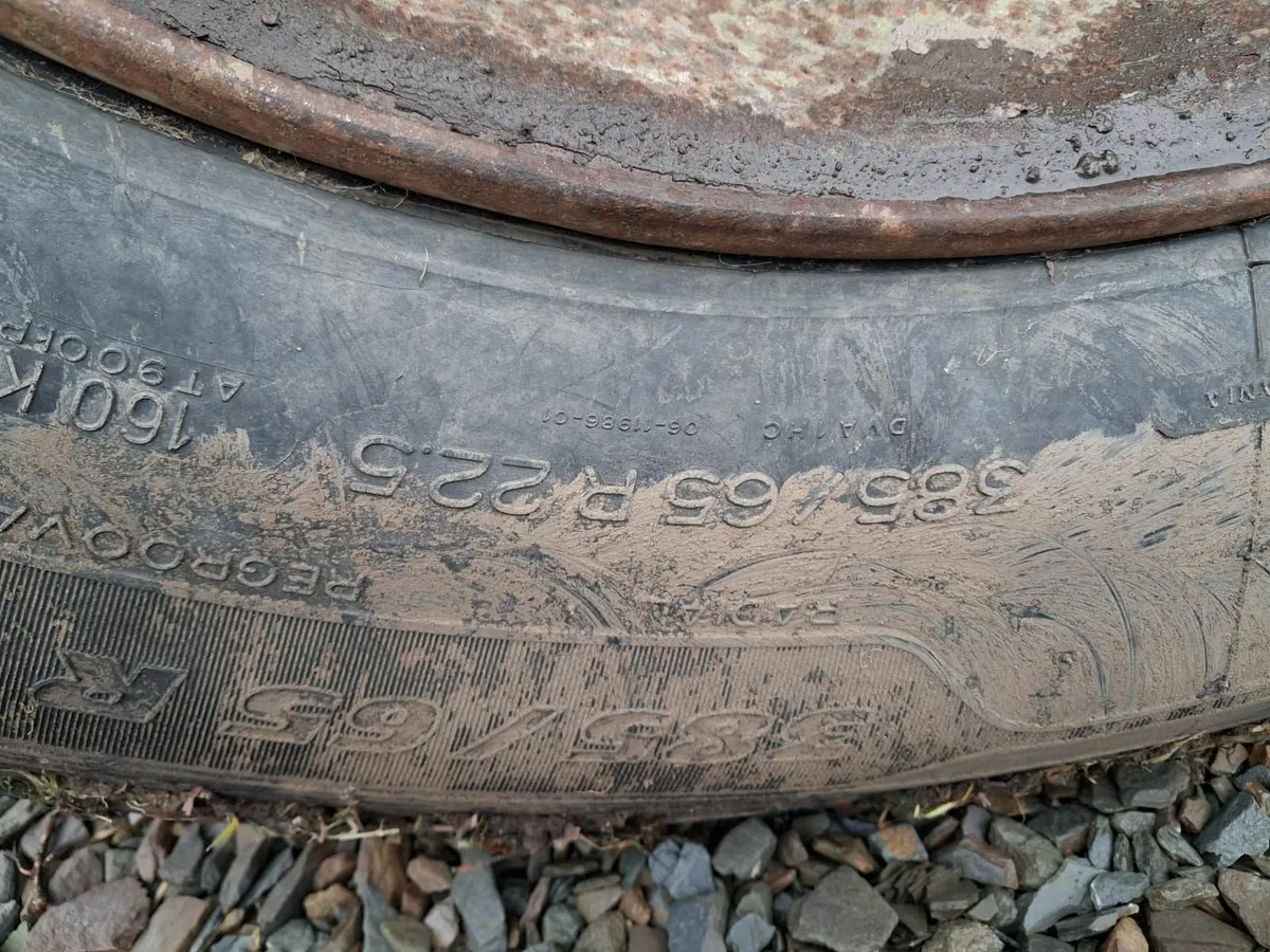 grain trailer / meal bin - Image 3