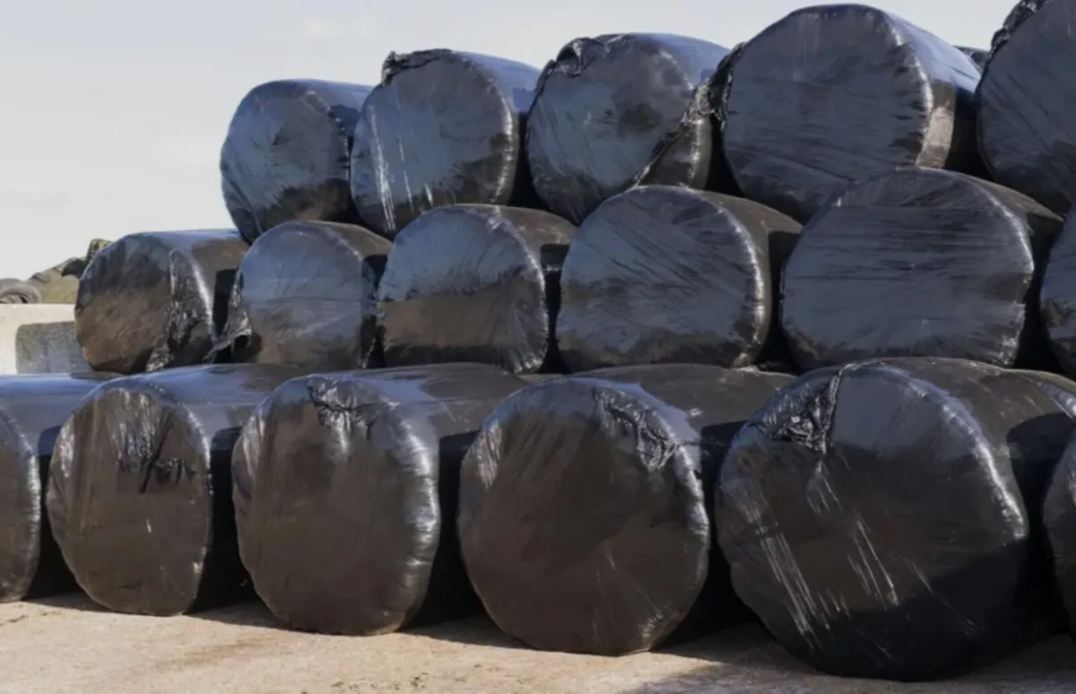 Silage bales for sale