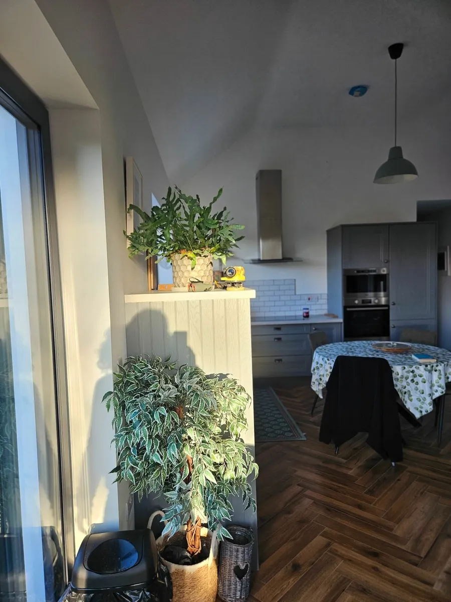 Holiday home to rent - Image 2