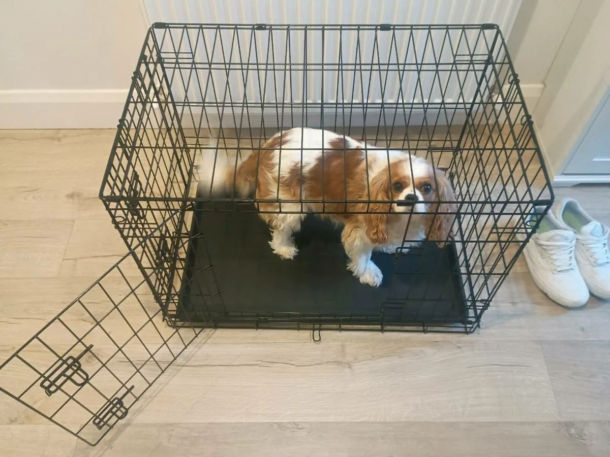 Savic Dog Crate Medium - Image 1