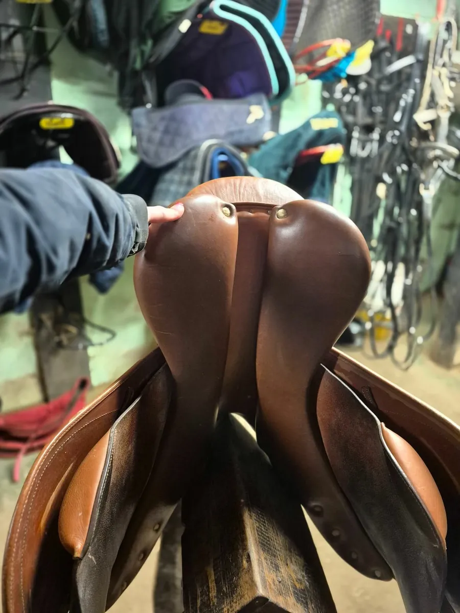 Saddle - Image 2