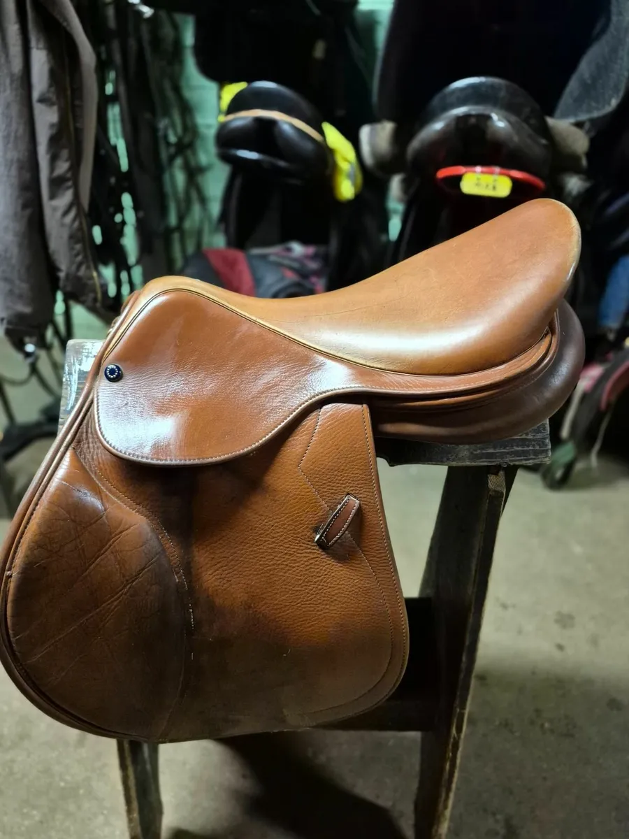 Saddle - Image 1