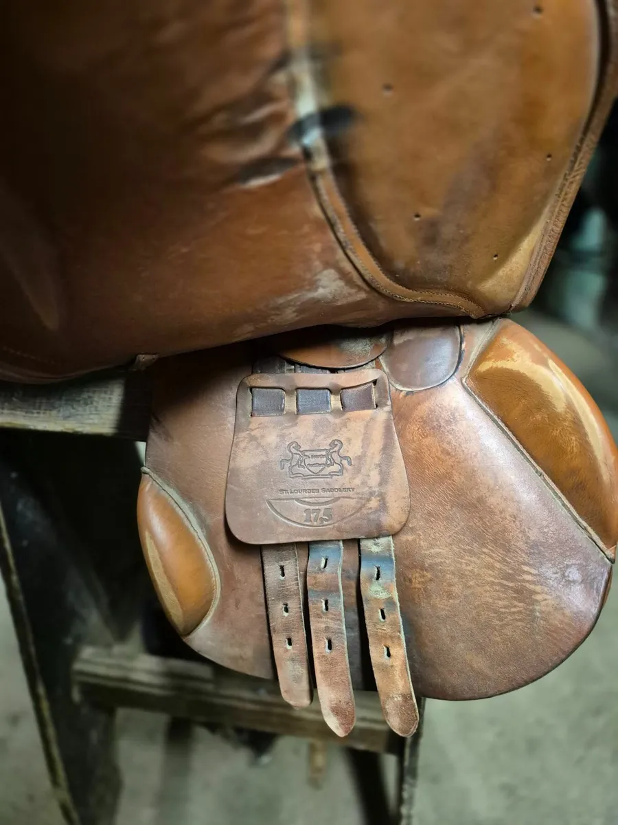 Saddle - Image 3