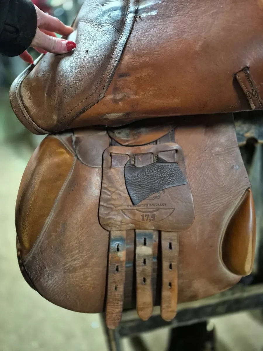 Saddle - Image 4