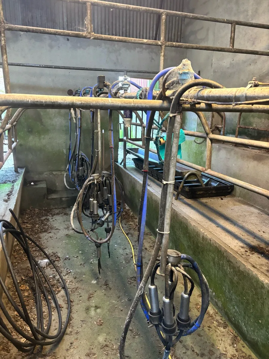 Milking machine ,tank and pumps for sale - Image 2