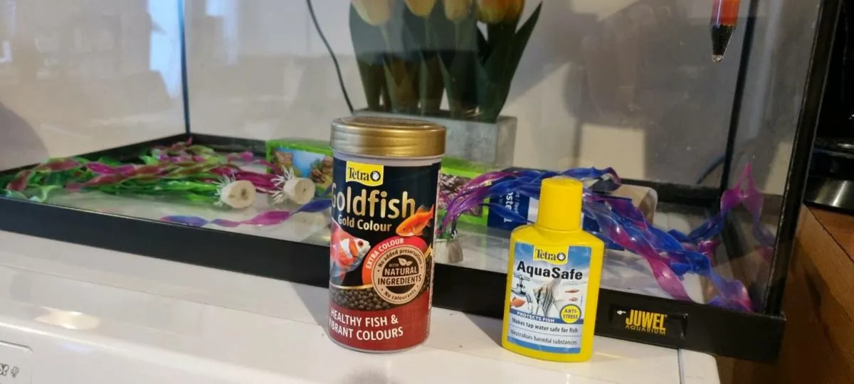 Juwel Aquarium - Image 3