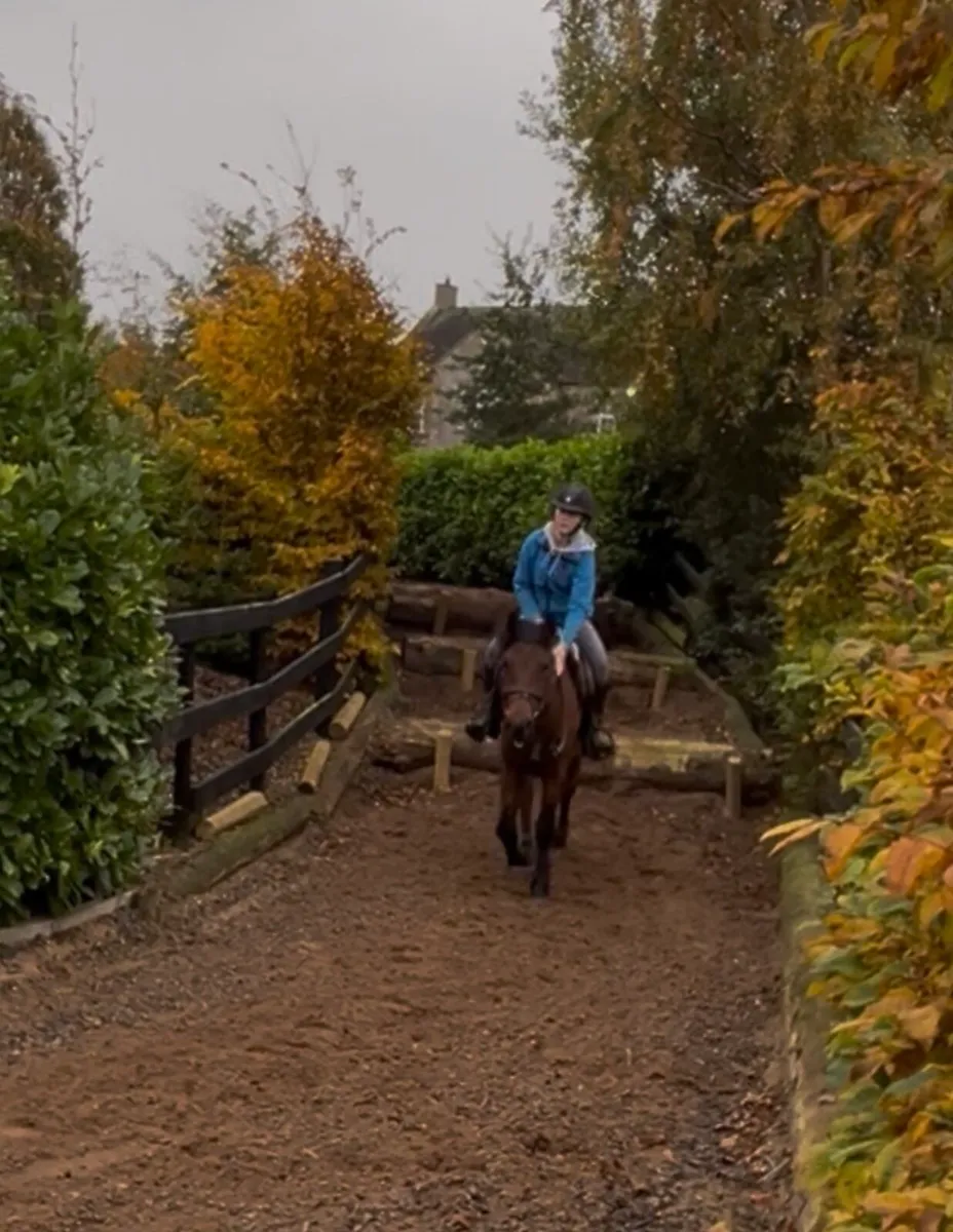 Raising 4year old (2022) - Image 3