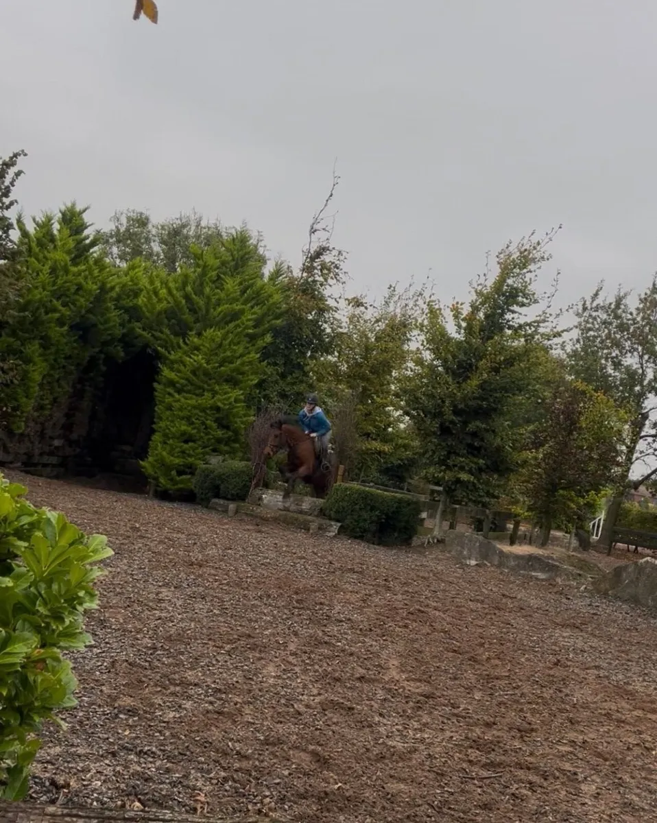 Raising 4year old (2022) - Image 4